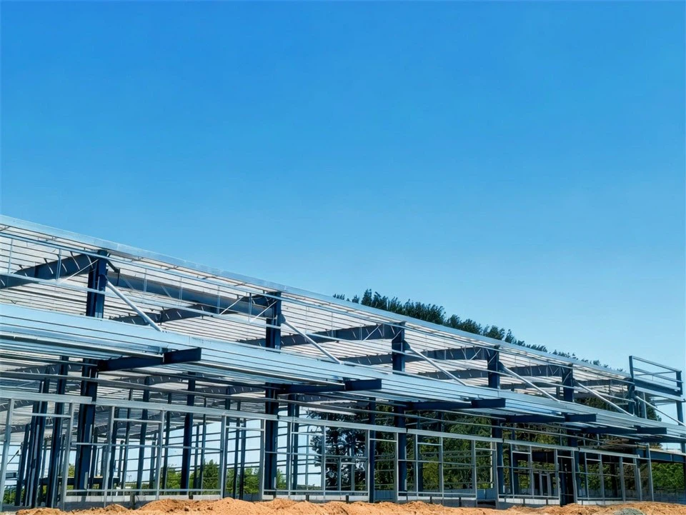 steel-structure-logistics-center-under-construction-steel-frame-layout